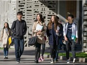 Xây dựng đại học đẳng cấp quốc tế: Việt Nam có thể học gì từ thế giới